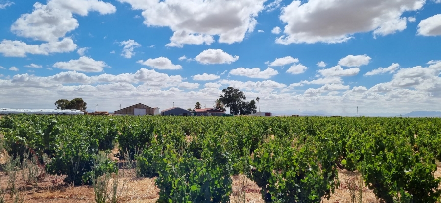 3 Bedroom Property for Sale in Darling Western Cape